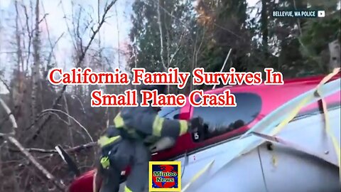 California family survives small plane crash after deploying plane parachute