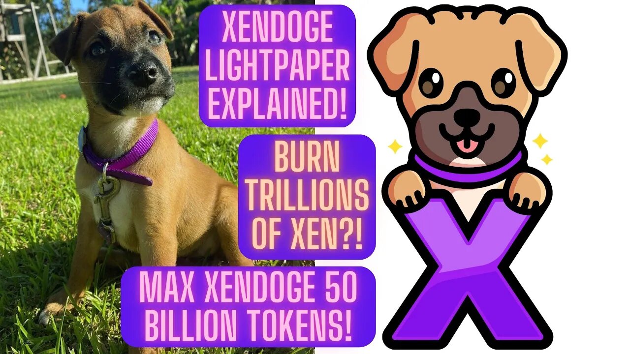 XenDoge Lightpaper Explained! Burn Trillions Of Xen?! Max XenDoge 50 Billion Tokens!