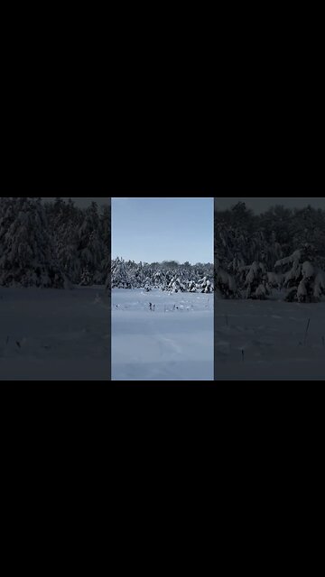 Merry Christmas from Bernie’s backyard! God bless you all!