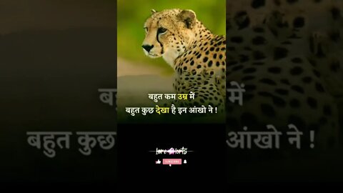 motivational Quotes Intresting Facts #shorts #ytshorts #motivation