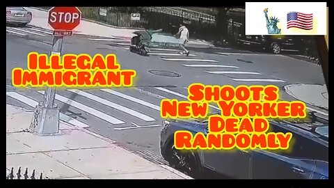 New York City Brooklyn Video of illegal shooting American & New Yorker to death