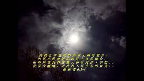 今天的每日聖經經文Jīntiān de měi rì shèngjīng jīng wén