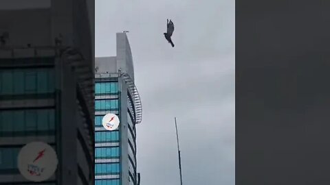 ۱۱ دسامبر ۲۰۲۲