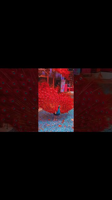 What should you tell? #shorts