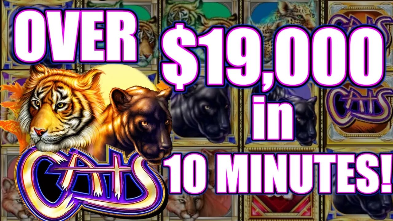 🙀 4 MASSIVE JACKPOTS on $180/SPINS! CATS Slot Machine | HIGH LIMIT SLOT PLAY AT THE CASINO