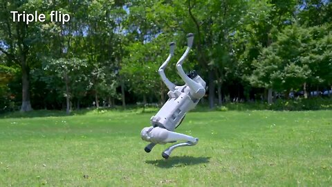 Video demonstrates that robot dogs are rapidly improving their recovery time