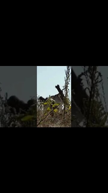 Russia shelling the AFU positions on the front lines