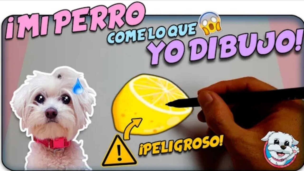 Mi PERRO COME lo que DIBUJO! Los LIMONES son PELIGROSOS para los PERROS! ⚠️🍋 Anima Dogs