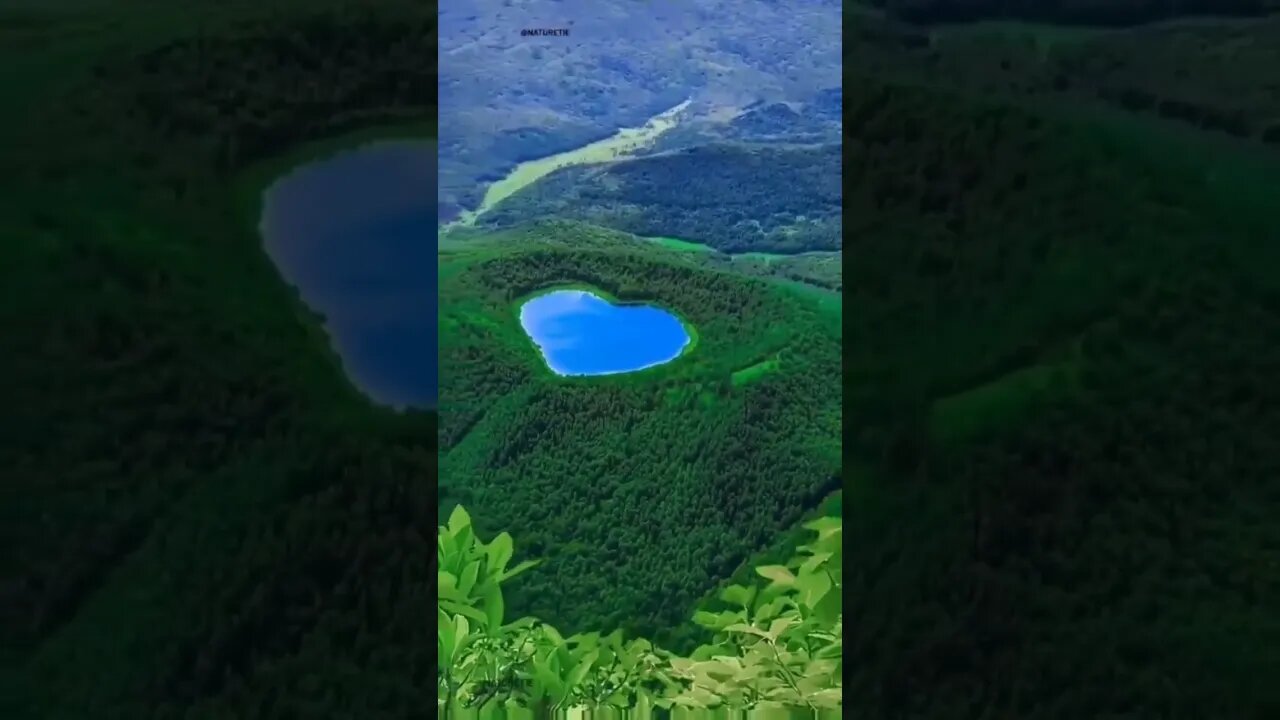Nature 😎✨ Short video #nature #shorts