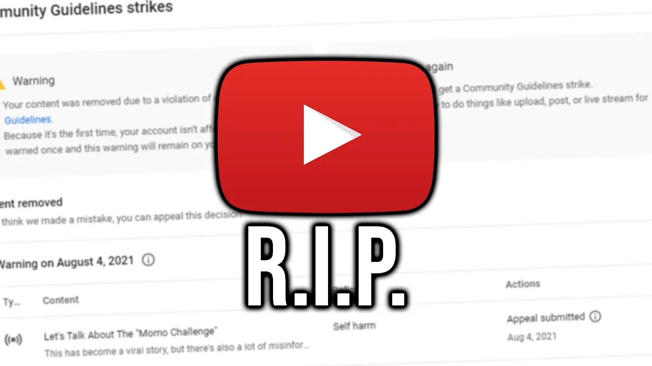 YouTube Deleted One Of My Best Videos