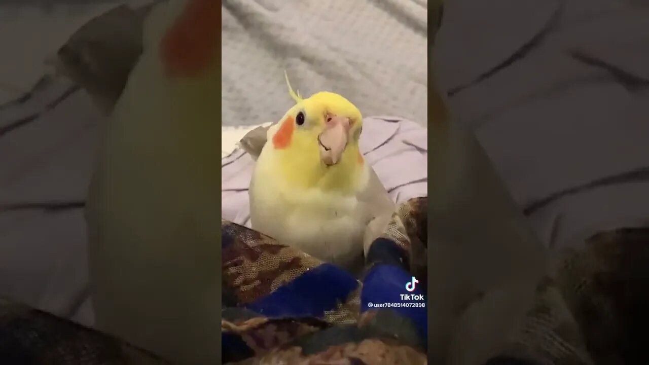 ۲ دسامبر ۲۰۲۲