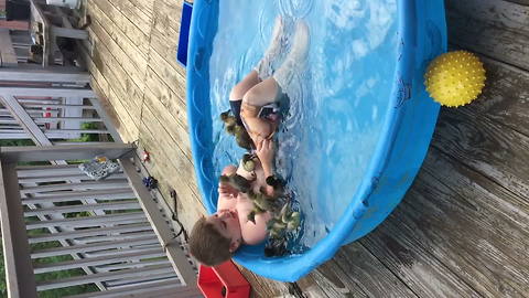 Boy Laughs As Several Ducklings Crawl Over Him In Swimming Pool