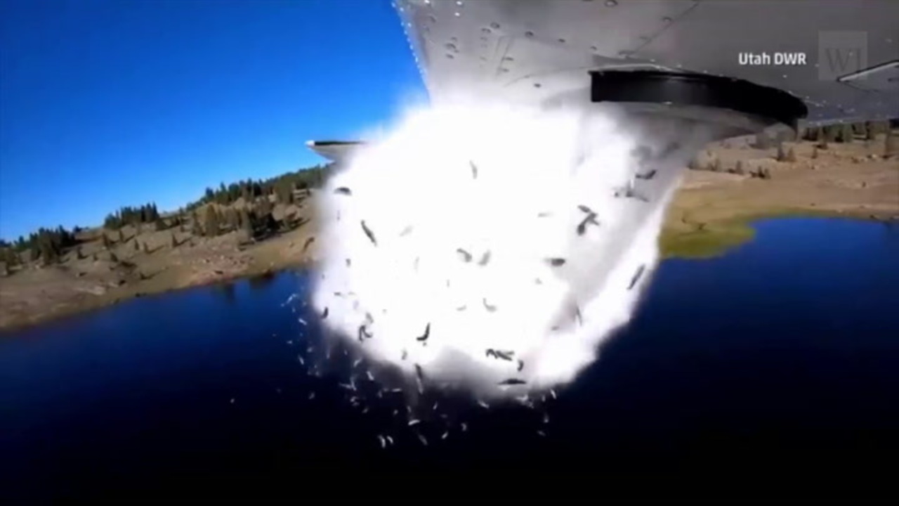 Watch: Utah Restocks Lakes with Fish Using Airplane. Craziest Thing You’ll See Today.