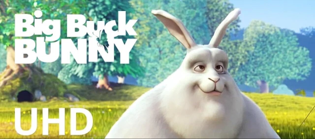 Big buck bunny - cartoon story