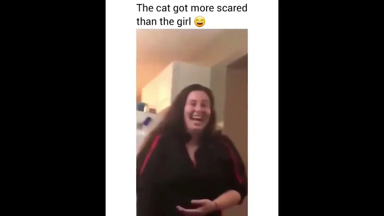 PLAYING CAT VIDEO MEAWWW