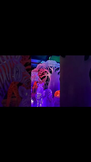 Dutch Ice Festival Festival