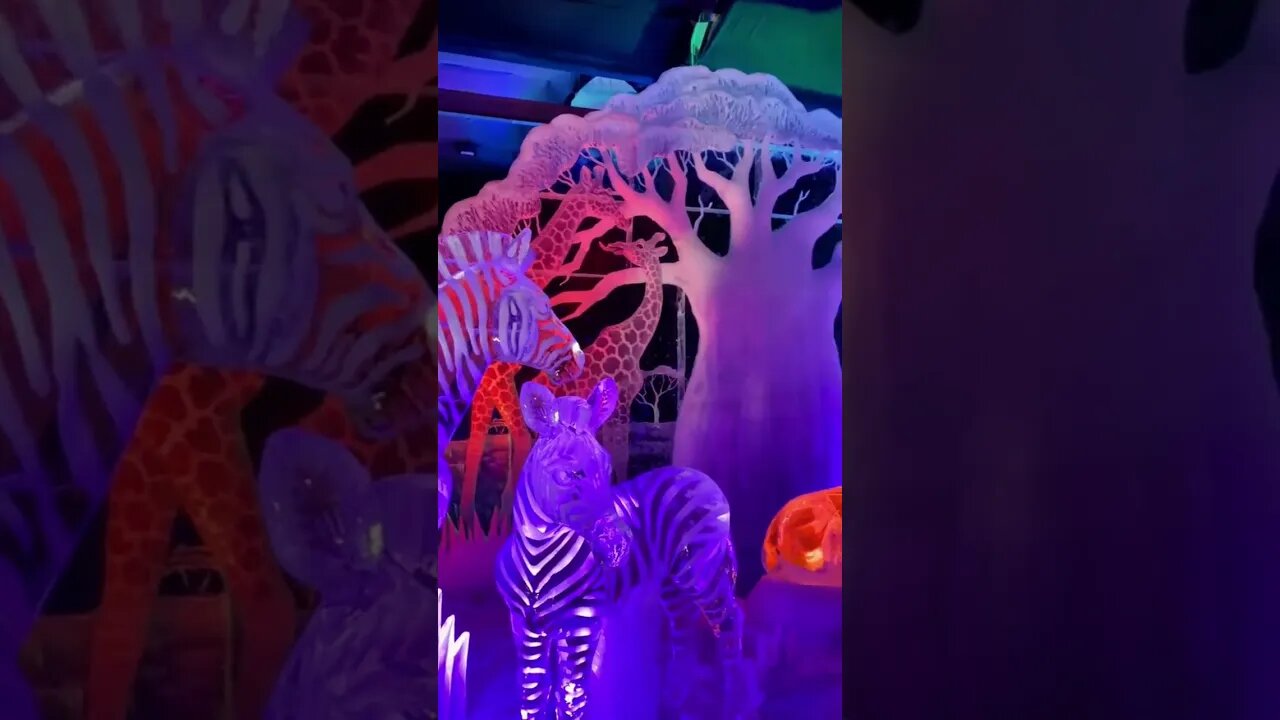 Dutch Ice Festival Festival