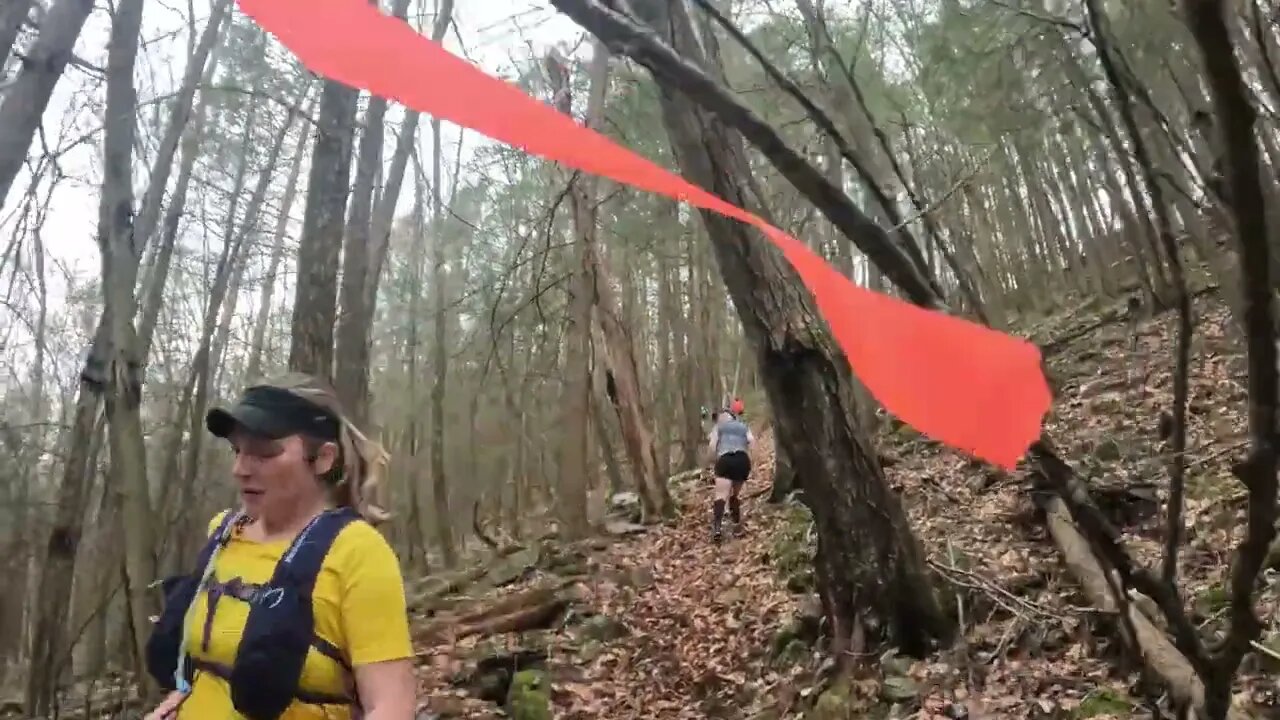 hyner video 5