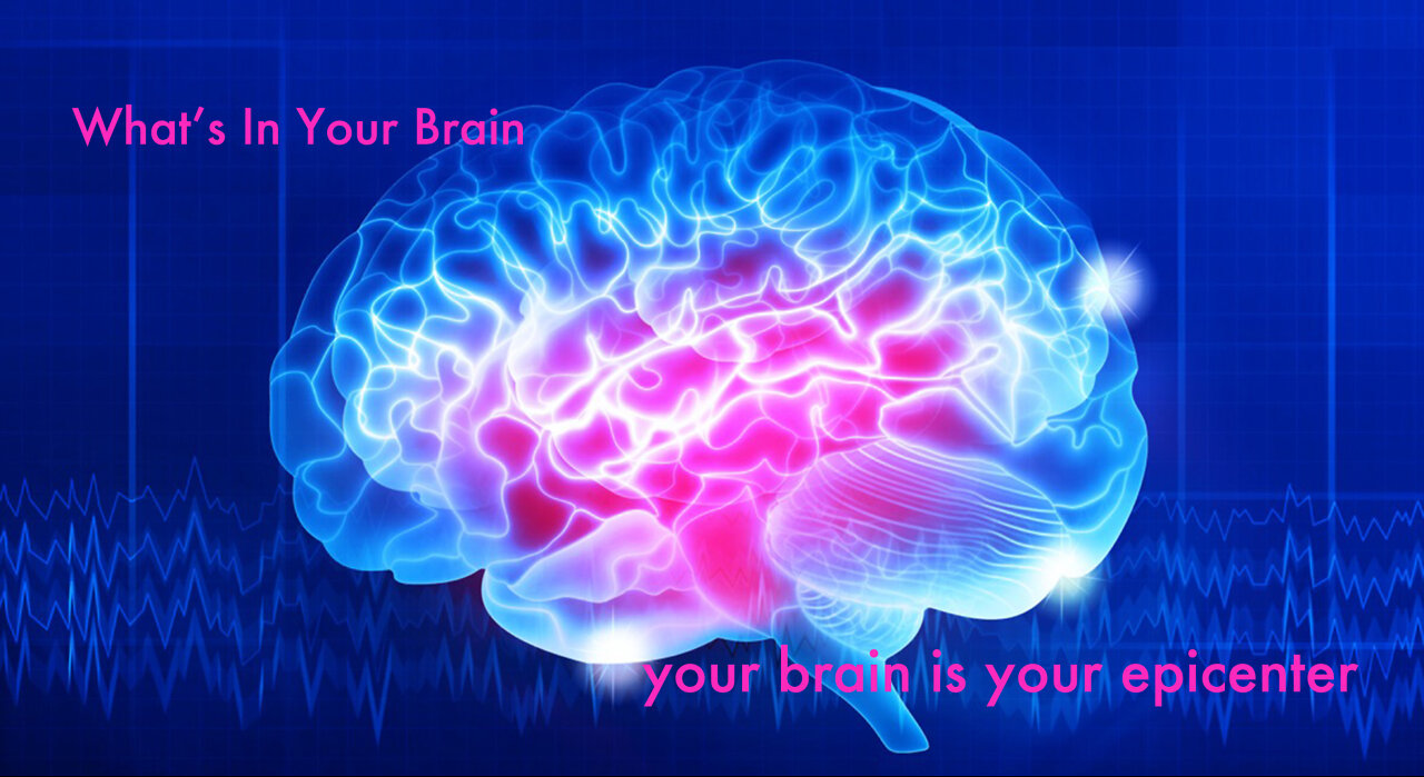 What's In Your Brain