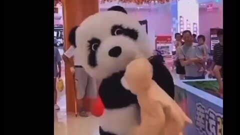 Teddy 🧸 vs 🐼 Panda Who Won?🤣