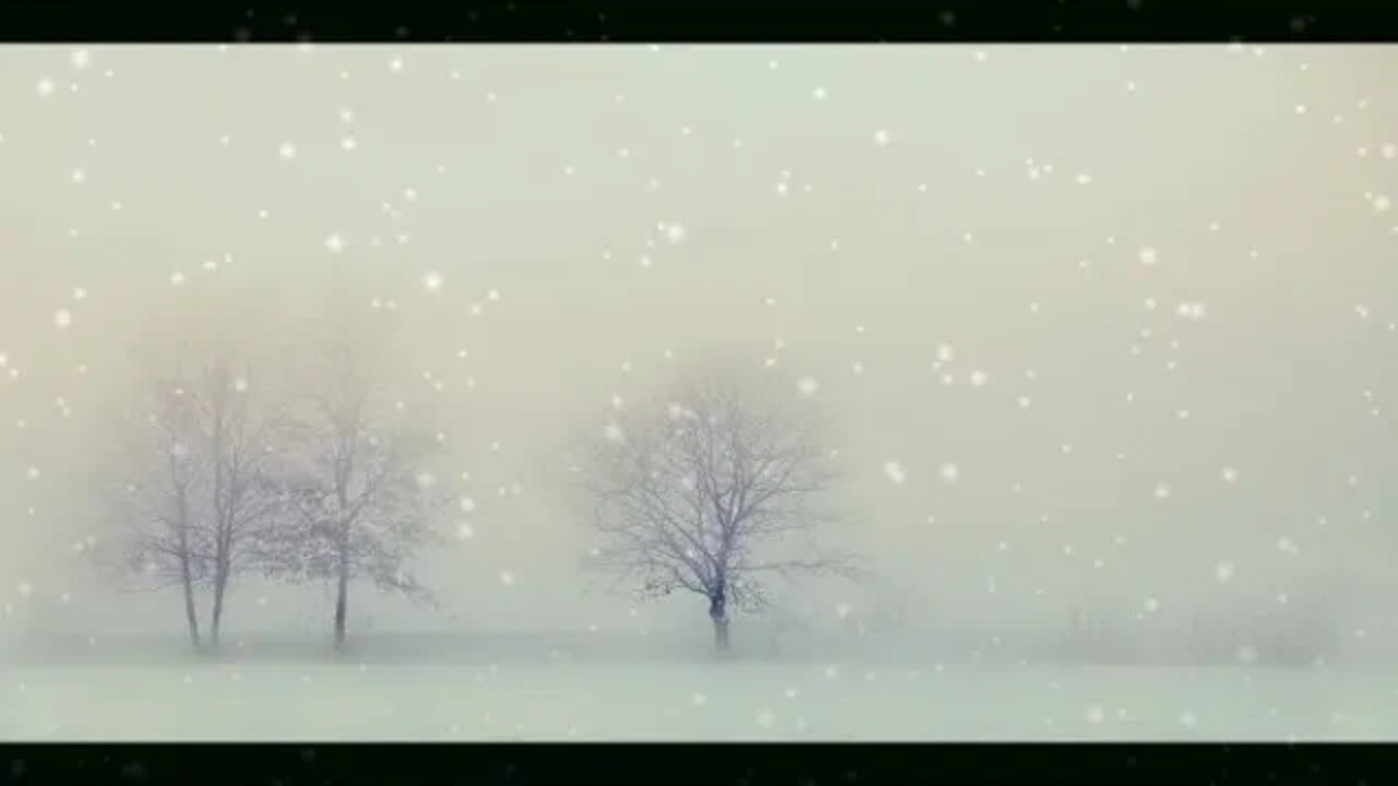 Blizzard with Frigid Howling Wind Sounds for Sleeping, Relaxing and Studying.