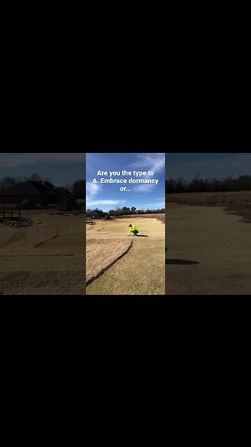 Lawn Stripes All Winter