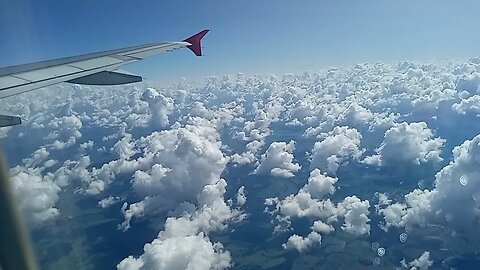 O Brasil visto lá de cima XXVIII