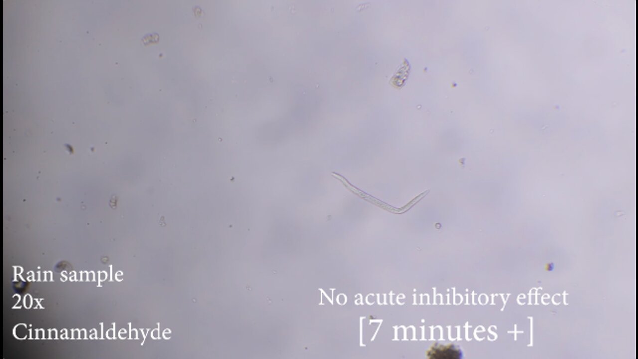 2022-07-15 Moving organisms on Cinnamaldehyde