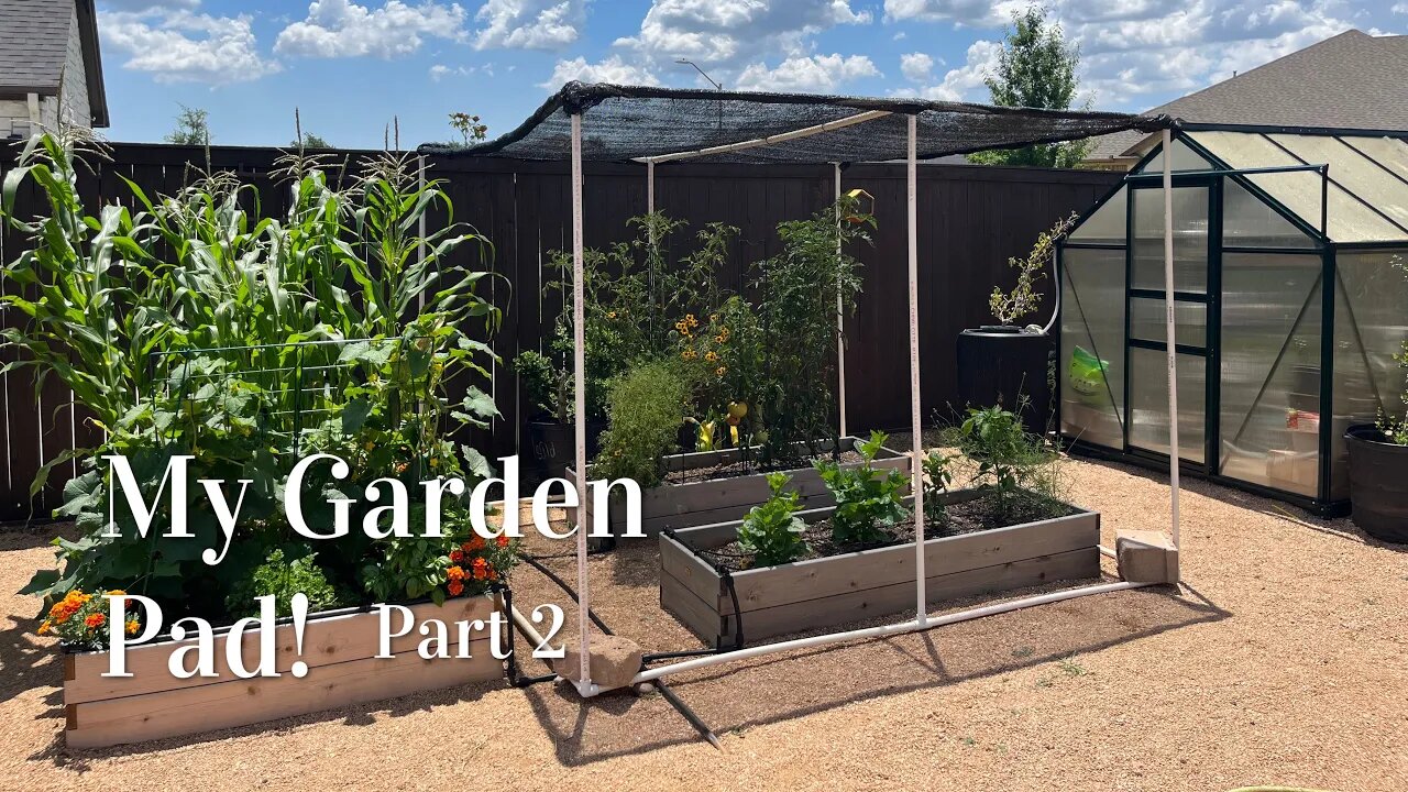 Creating a Garden Area Part 2 #texasgardening #gardeningforbeginners #backyardgardening