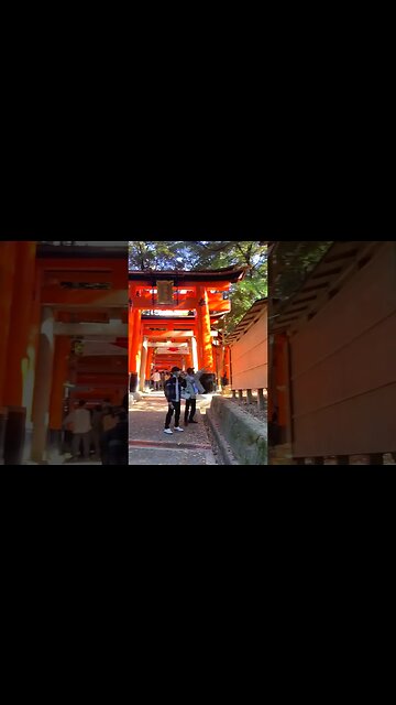 Inside Kyoto Mountain Fushimi Inari