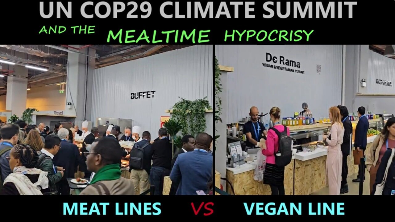 COP29 Climate Activist Demand Meat Tax While Fill Meat Lines NOT vegan