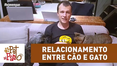 Pet Na Pan #40: Relacionamento entre cão e gato