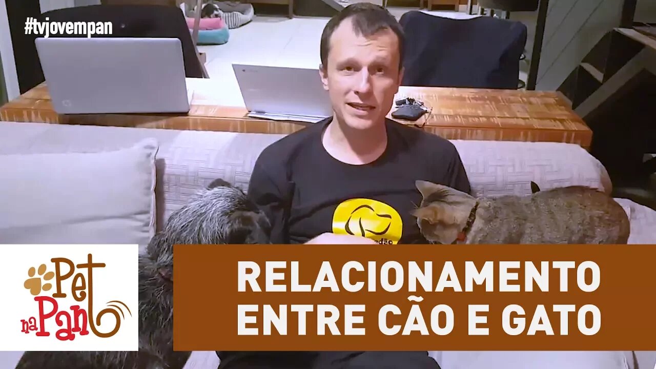 Pet Na Pan #40: Relacionamento entre cão e gato