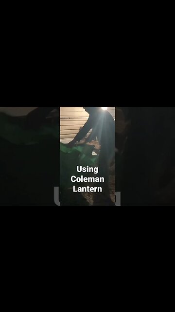 Coleman Lantern in action #lantern #coleman