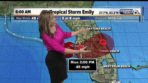 Tropical Storm Emily forms