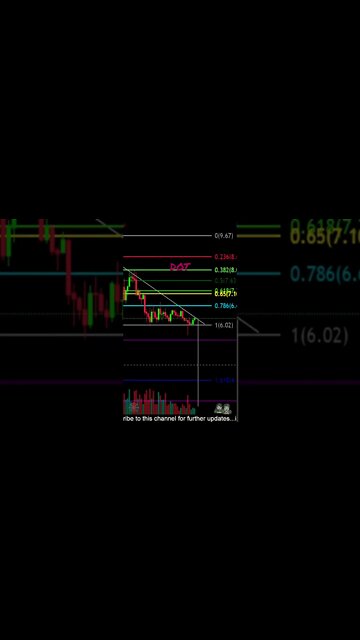 Polkadot looking at lower prices soon! 🐻👀🧟‍♂️💎🙌