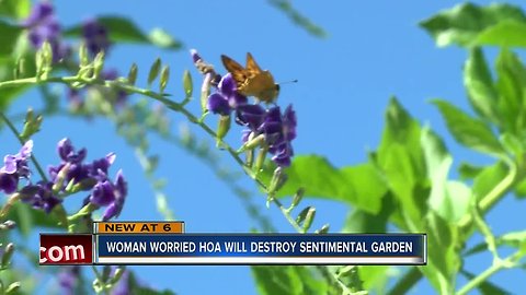 Palm Harbor woman says HOA wants to rip out garden she planted with her late partner