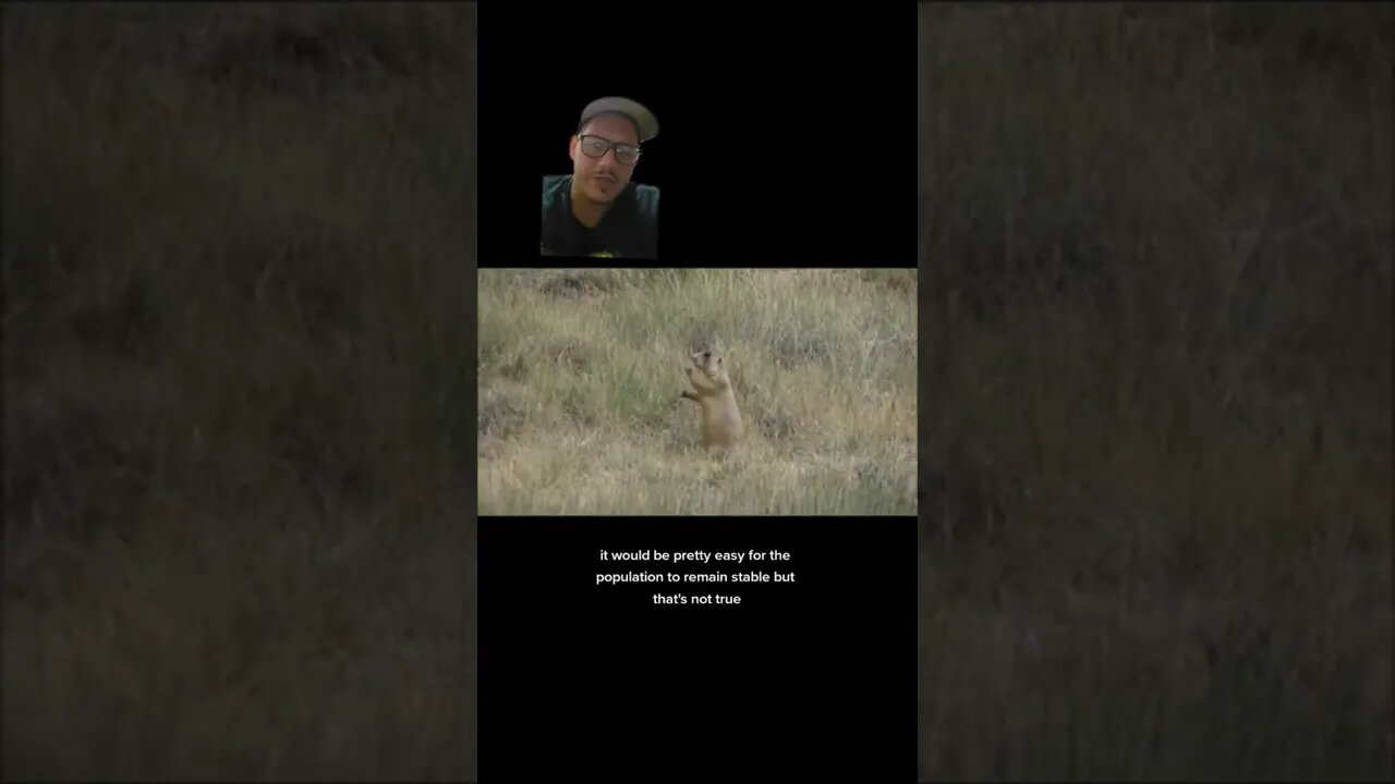 The Utah Prarie dog can only breed 1 hour a year