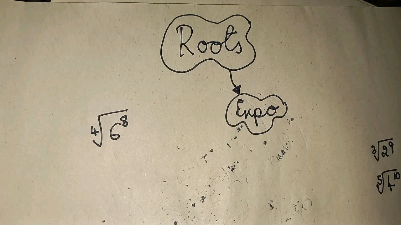 Roots Expo