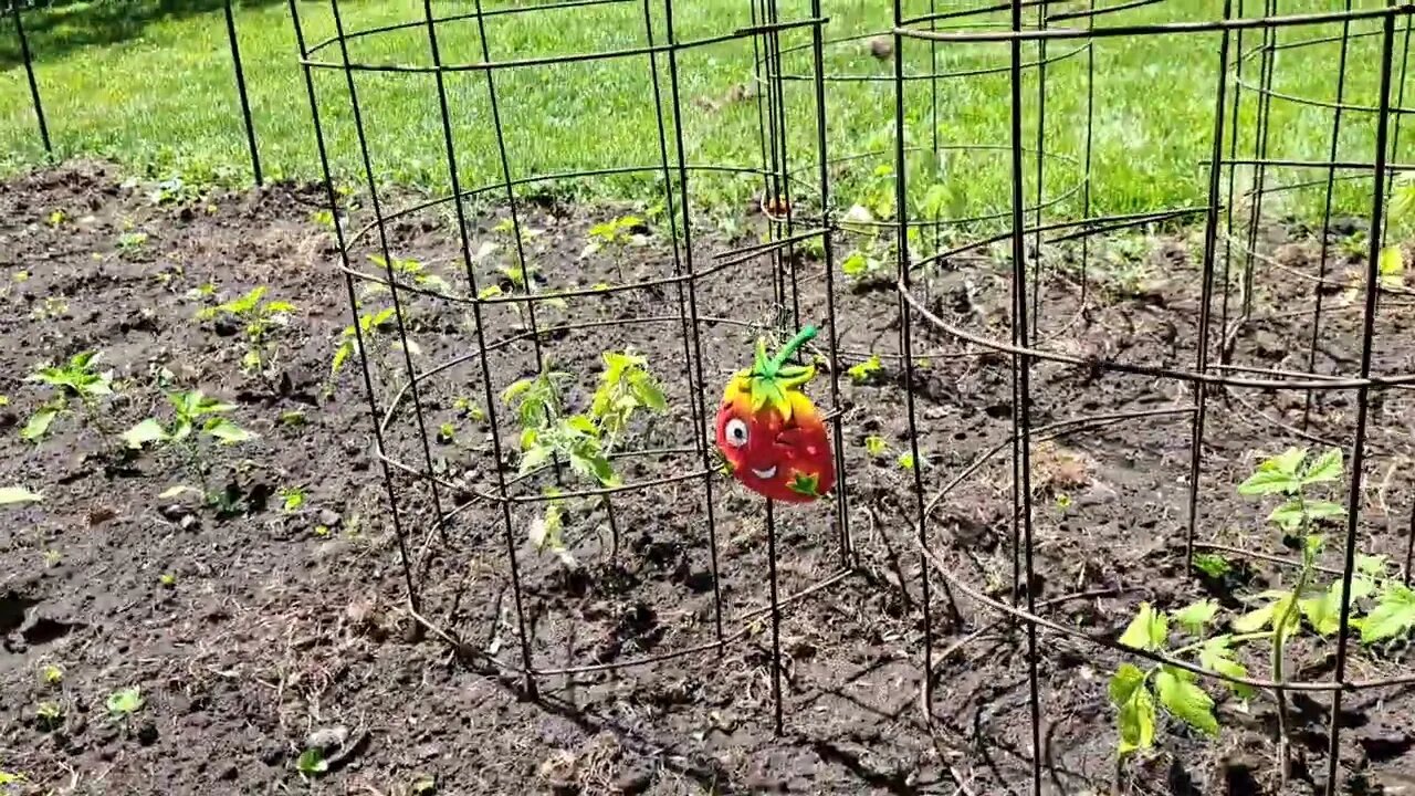 Planting A Garden At My Mother-In-Law's House Spring 2023