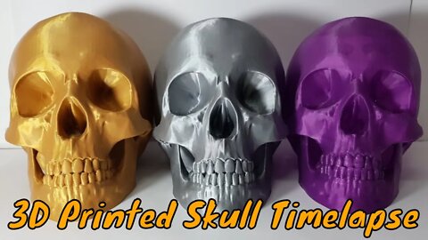 3D Printing a Skull