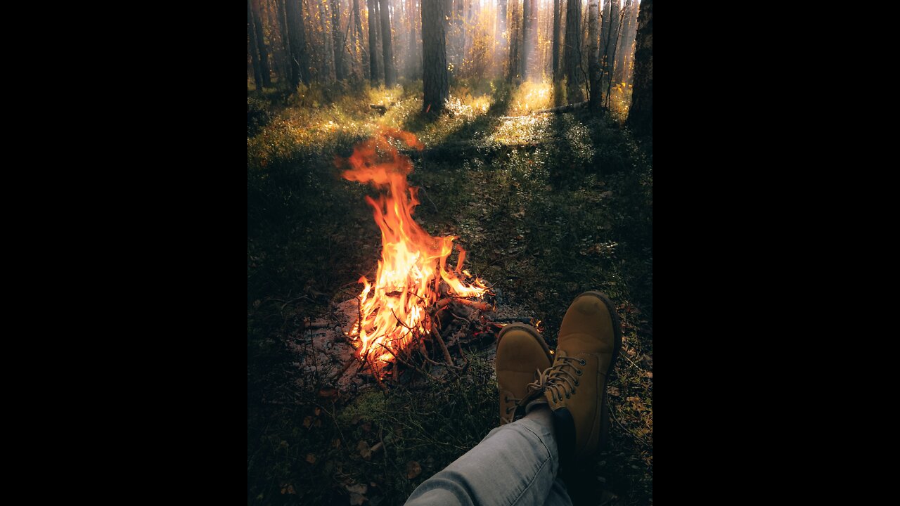 alone survival, learn to live if lost!