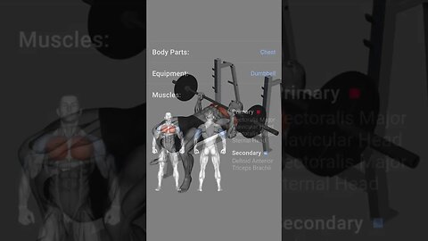 Chest workout with barbell, dumbbells, and own weight