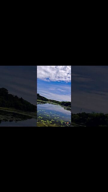 Cernica forest ride | Future bass music | 4k Virtual Tour | #shorts