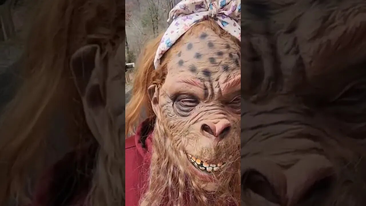 It's time for Bigfoot to settle down