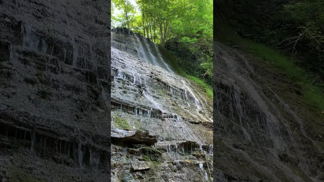 Vertical Serenity: Nature's Graceful Waterfall #shorts #nocopyright #soundeffects