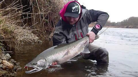 Float Fishing For Steelhead Part 2 (MULTIPLE BIG FISH LANDED!)