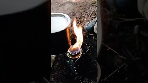 coffee in the wilderness #bushcraft #survival