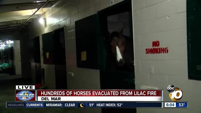 Hundred of horses evacuated from Lilac Fire