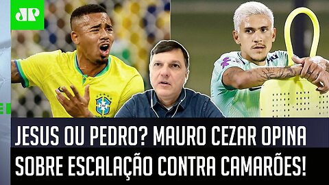 "NADA CONTRA o Gabriel Jesus, mas o Pedro..." Mauro Cezar FALA TUDO sobre a Seleção de Tite!